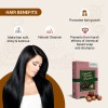 reetha powder benefits for hair